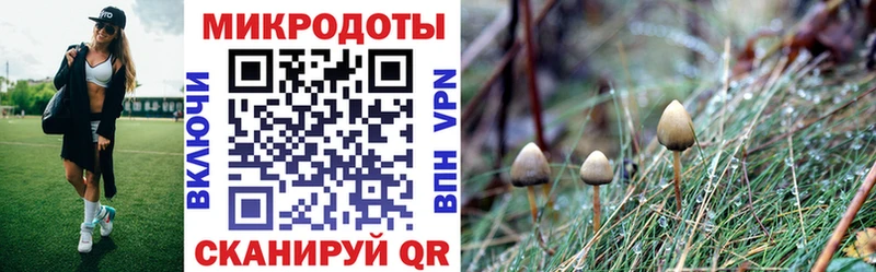 Псилоцибиновые грибы Psilocybine cubensis  Аткарск 